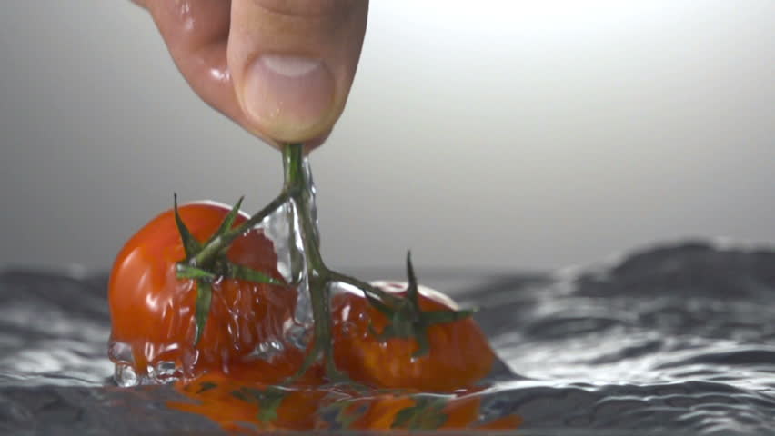Tomato and splash water. copyspace. 