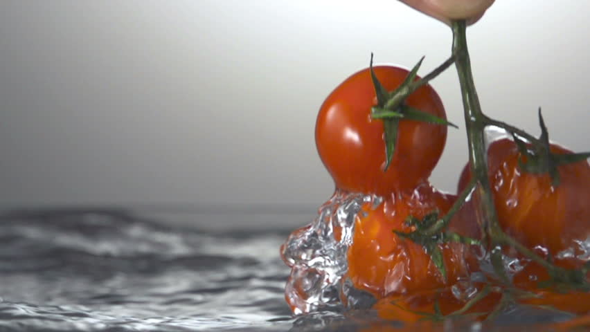 Tomato and splash water. copyspace 