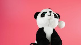 Stuffed and fluffy teddy toy panda bear in a Santa Claus hat greeting on a pink background. - Powered by Shutterstock - Get 15% off with code: PIKWIZARD15