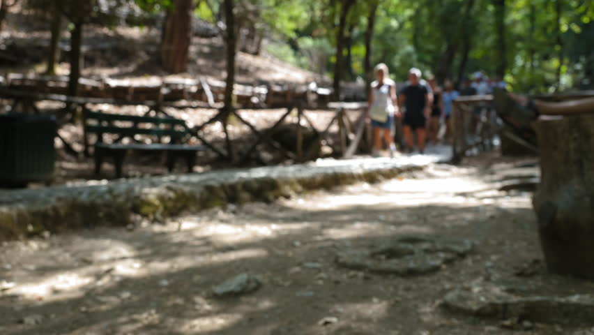 A group of people walk down a path in a park. Timelapse