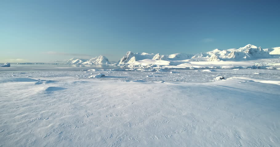 Shutterstock Video