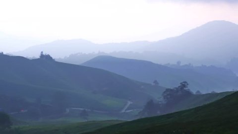 Beautiful time lapse of tea farm and plantation during sunrise with golden misty ray suitable for family vacation and outdoor activities.