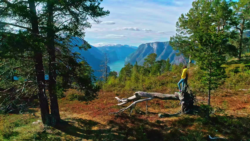 Woman Standing On Fallen Dead Tree Admiring Scenic Sognefjord In Norway. drone pullback reveal Royalty-Free Stock Footage #3487321381