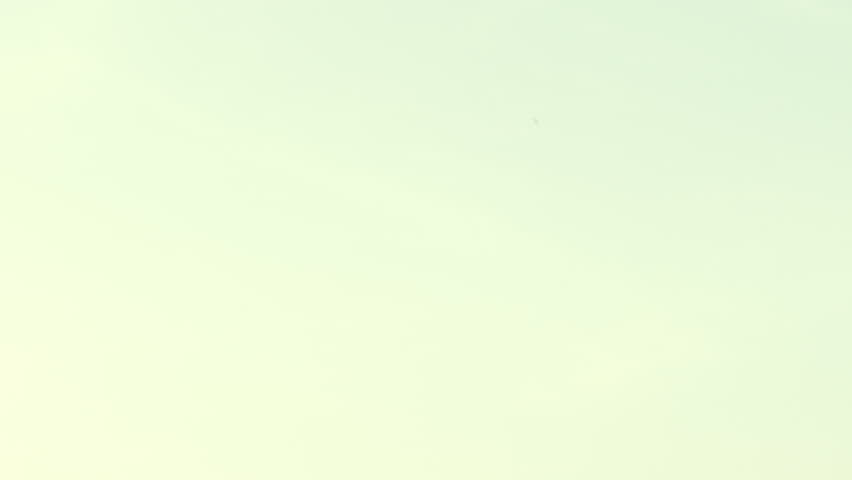 A cute little girl is jumping. Slow motion. 