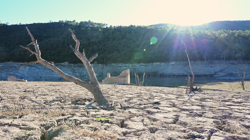 A lone woman takes a stroll across the cracked bed of a dry reservoir surrounded by lifeless trees under the bright sun.