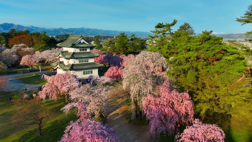 aerial view of traditional Japanese samurai castle in spring with cherry blossom in bloom, drone view of sakura trees in Japan at Hirosaki castle
