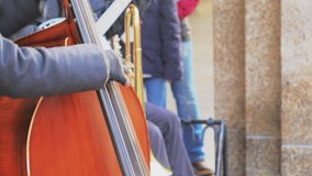 Playing Musical Stringed Instruments On The Street