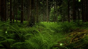 Fern plant woods with firefly flying.	
 - Powered by Shutterstock - Get 15% off with code: PIKWIZARD15