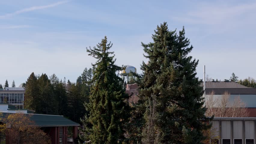 University of Idaho Water Tower