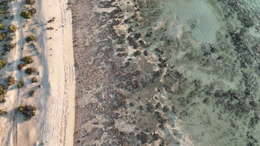 Aerial of Stromatolites in Hamelin Pool, Shark Bay, UNESCO World Heritage Site, Western Australia, Australia, Pacific