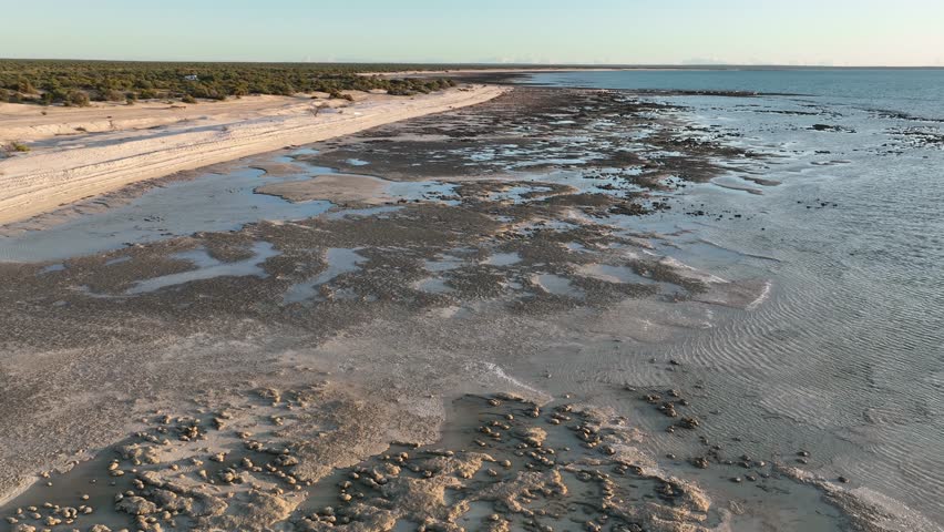 Aerial of Stromatolites in Hamelin Pool, Shark Bay, UNESCO World Heritage Site, Western Australia, Australia, Pacific