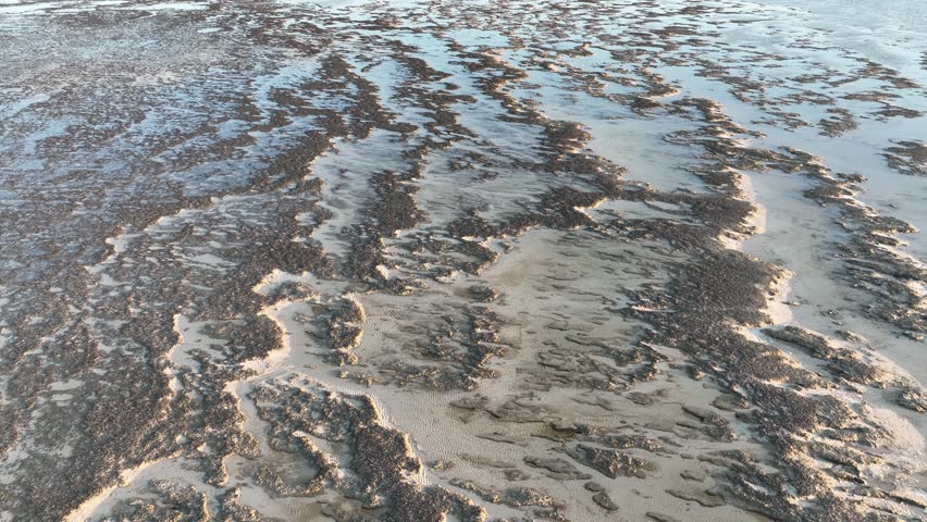 Aerial of Stromatolites in Hamelin Pool, Shark Bay, UNESCO World Heritage Site, Western Australia, Australia, Pacific