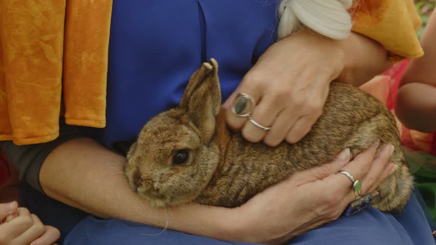 Multiple children petting a cute bunny being held by an older woman