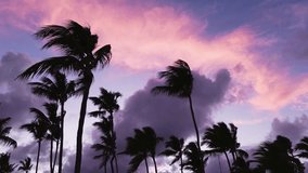 Breathtaking tropical sunset scene in the Dominican Republic, showcasing vibrant shades of purple. Lush palm trees silhouette against the sea, set against a colorful sky. Tropical seascape - Powered by Shutterstock - Get 15% off with code: PIKWIZARD15