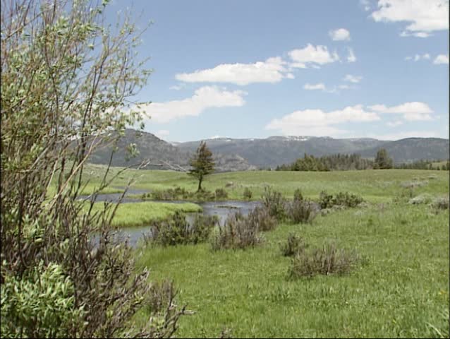 Wide valley at Blacktail Deer Creek in Yellowstone national park.