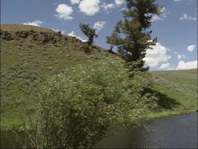 pan wide valley at Blacktail Deer Pond in Yellowstone national park.
