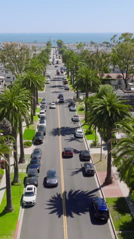 Vertical video. Drone flying over Newport Beach road with traffic, Corona Del Mar, California, West Coast, USA. Residential houses and private villas with tall palm trees. Long avenue stretching.