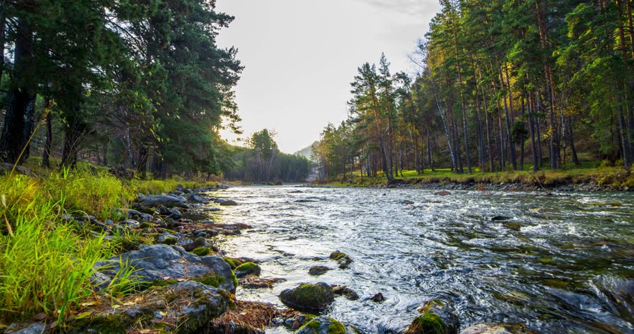 4K mountain river timelapse at the summer or autumn time. Wild nature, clear water and rural evergreen valley. Sun rays, small creek and yellow grass. Motorised dolly slider movement