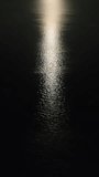 Moon track on the surface of the water. Night sea view. Vertical.