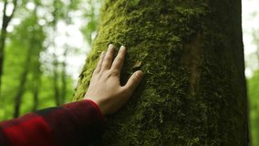 Hand touch the tree trunk. Man hand touches a pine tree trunk, close-up. Human hand touches a tree trunk. Bark wood. Wild forest travel. High quality FullHD footage - Powered by Shutterstock - Get 15% off with code: PIKWIZARD15
