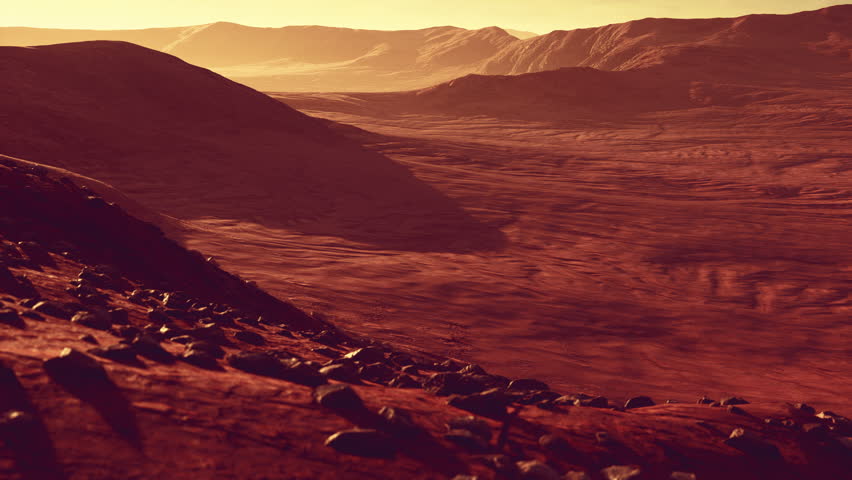Beautiful sand dunes in the Sahara desert at sunset