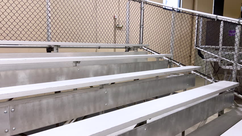 The cold, empty bleachers stand ready to welcome eager spectators, overlooking the glistening ice rink that echoes with the anticipation of an exciting game.
