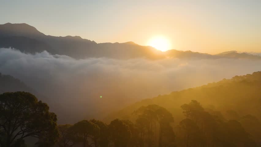 Majestic Sunrise in the mountains with golden hues, misty peaks, and tranquil beauty. Perfect for inspiring projects admist nature. Sunrise over the top of clouds with a serene view of forest
