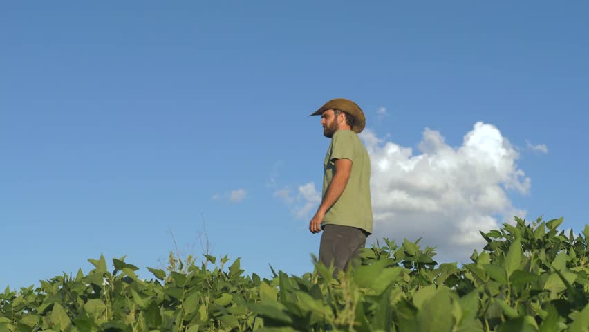 A rural producer man wearing hat in a sunny day in a soybean plantation field - Country side Brazil