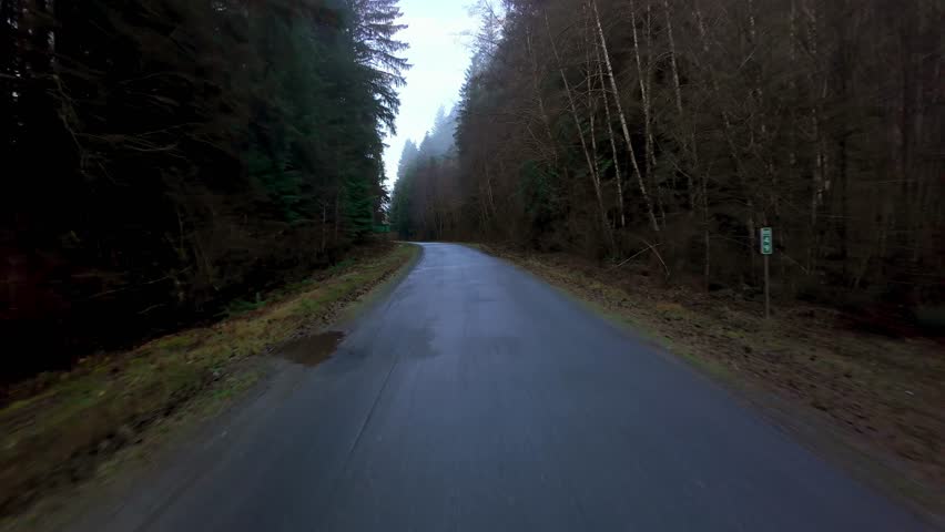 Scenic Road surrounded by Trees in Port Renfrew. Daylight, Spring Season. British Columbia, Canada.