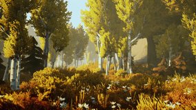 cartoon Sunrise on a foggy morning - Powered by Shutterstock - Get 15% off with code: PIKWIZARD15