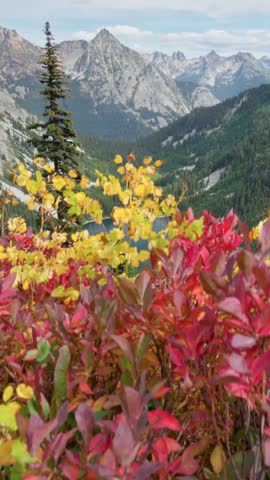 Red-yellow leaves on the background of the mighty mountain peaks. Mountains and lake in North Cascades national park, USA. Autumn in the mountains. Nature of United States of America, vertical shot