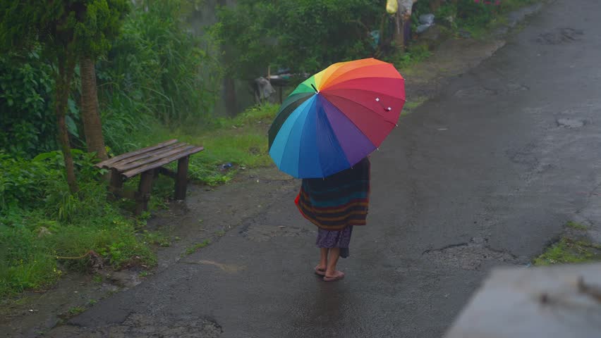 woman colorful umbrella walks rain