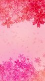 Loop animation frame of blossoms. Falling cherry blossoms. Spring pink background. Vertical video.
