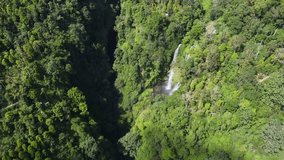 Bali Island. Indonesia. Video from the drone. Waterfall in the jungle. Sekumpul Waterfall.