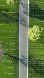 Vertical video. Aerial Cemetery California USA. Drone flying above scenic green field with straight rows white grave plates on summer day. National cemetery where buried all members armed forces