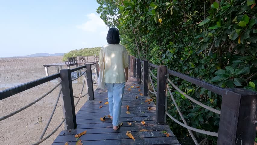 A young woman is walking and admiring nature on the mangrove forest path.