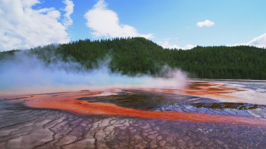 Striking beauty of a colorful hot spring with thick white mist in the national park of Wyoming, Montana, evergreen trees under blue skies adding beauty to the natural wonder. High quality 4k footage