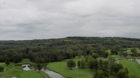Drone Golf field with bird flying