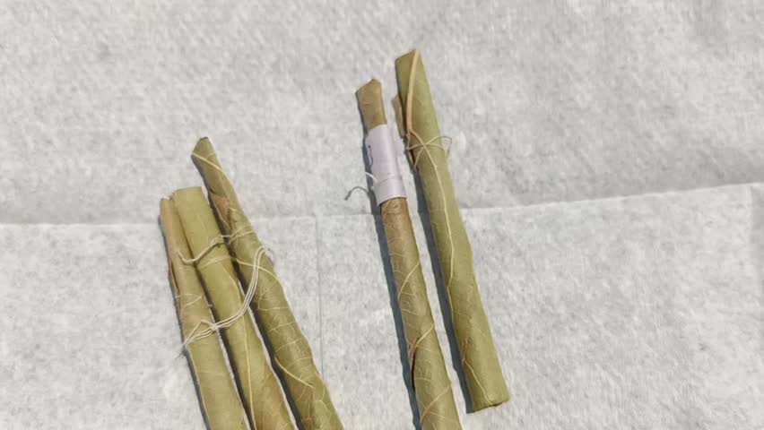 Bidi, Beedi Cigarette in india making with plant leaves 