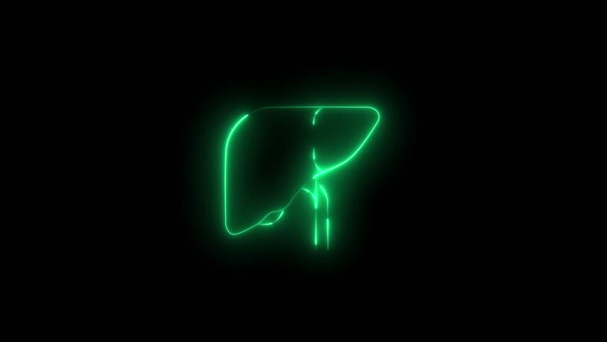 Neon line Human organ liver icon animation isolated on black background. Neon medical animation - Liver. 4K Video motion graphic animation.