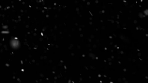 Natural Falling Snow. Beautiful falling snow on a dark background.