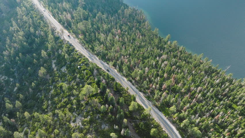 The aerial view captures a road snaking through a dense forest in Lake Tahoe, California. The lush trees line the road, creating an immersive experience of driving through nature. 4K footage. 