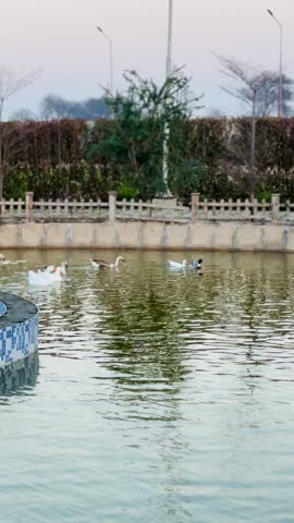 beautifull veiw of the cannal