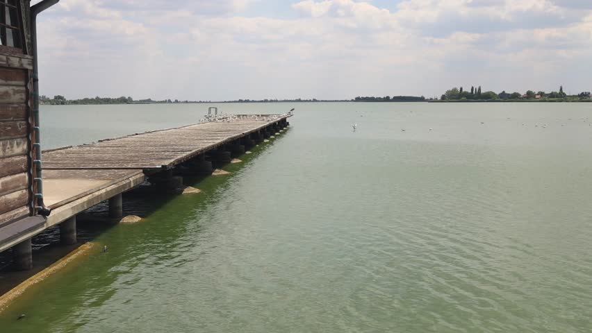 Wooden Pier Dock With Gulls Birds at Lake Palic Nature Reserve Summer Day