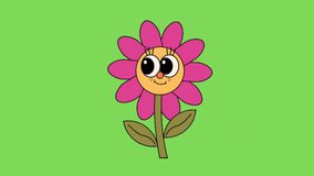 Animated video of beautiful flower cartoon on green screen background