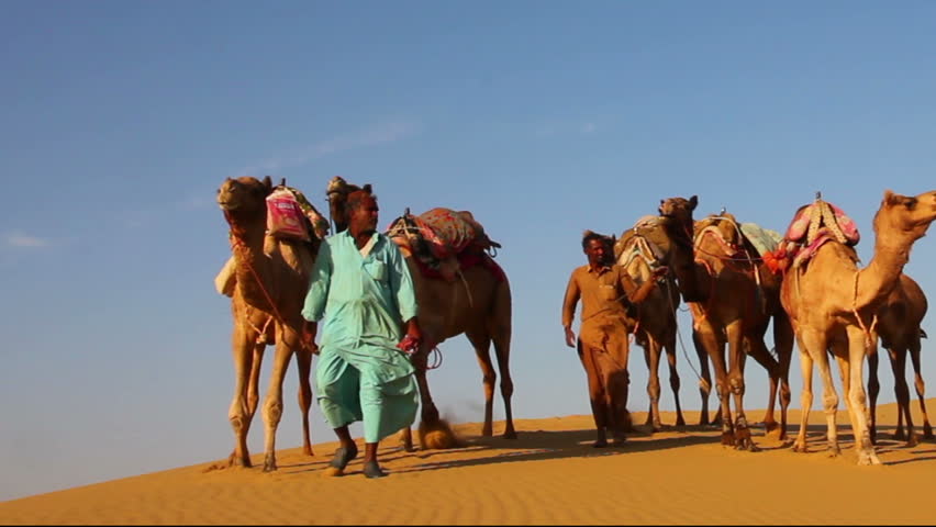 cameleers in desert - camels caravan on sand dune