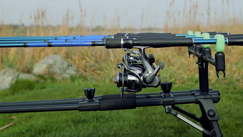 Close up carp fishing rod setup with multiple rods on a stand with alarms set lines near lakeside in early overcast morning. Hobby leisure, angling equipment gear. Fishing reels tackle holders Royalty-Free Stock Footage #3490610479