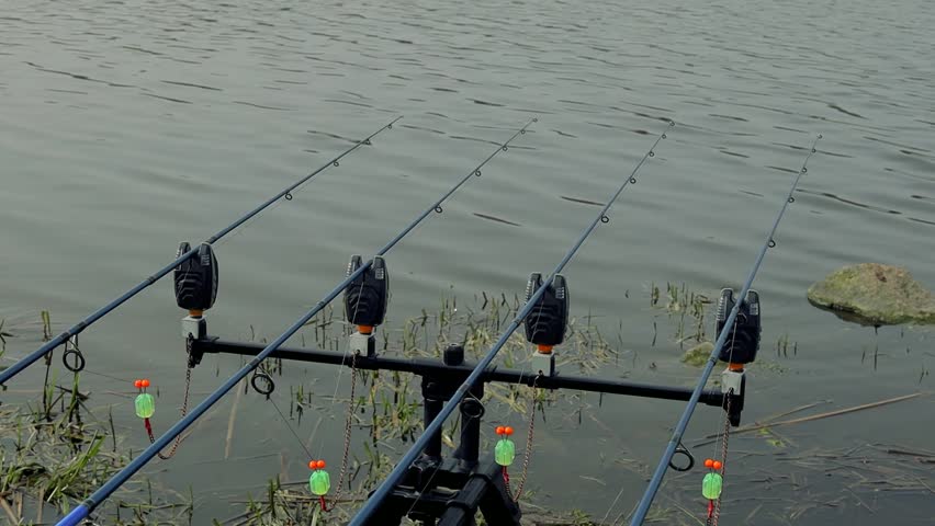 Close up carp fishing rod setup with multiple rods on a stand with alarms set lines near lakeside in early overcast morning. Hobby leisure, angling equipment gear. Fishing reels tackle holders
 Royalty-Free Stock Footage #3490610639