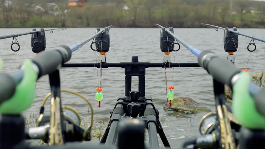 Close up carp fishing rod setup with multiple rods on a stand with alarms set lines near lakeside in early overcast morning. Hobby leisure, angling equipment gear. Fishing reels tackle holders
 Royalty-Free Stock Footage #3490611075