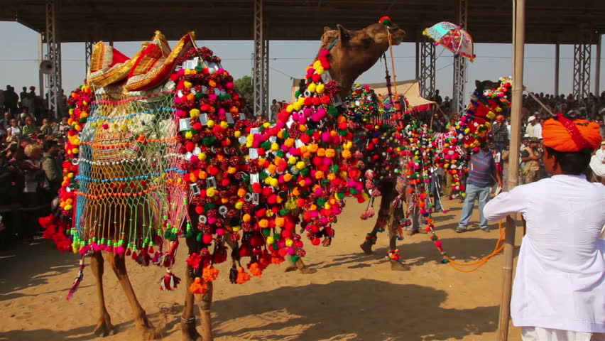 PUSHKAR, INDIA - NOVEMBER 22, 2012: Competition to decorate camels at fair in